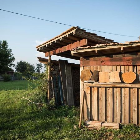 B&B Casa Campagnari Roverbella Zewnętrze zdjęcie